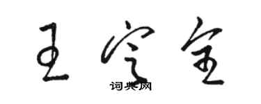 駱恆光王定全草書個性簽名怎么寫