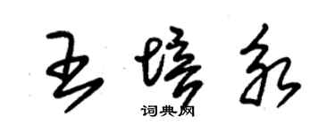 朱錫榮王培永草書個性簽名怎么寫