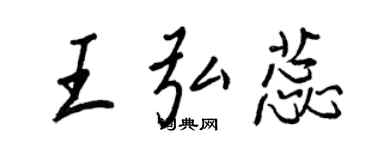 王正良王弘蕊行書個性簽名怎么寫