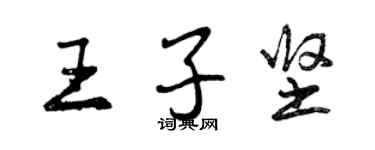 曾慶福王子堅行書個性簽名怎么寫