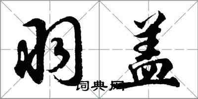 胡問遂羽蓋行書怎么寫