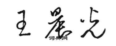 駱恆光王晨光草書個性簽名怎么寫