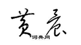 梁錦英黃晨草書個性簽名怎么寫