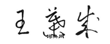 駱恆光王葉成草書個性簽名怎么寫