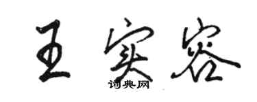 駱恆光王實容行書個性簽名怎么寫