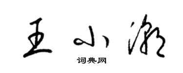 梁錦英王小潮草書個性簽名怎么寫