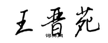 王正良王晉苑行書個性簽名怎么寫