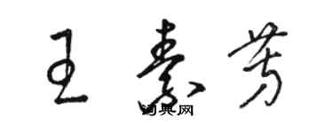 駱恆光王素芳草書個性簽名怎么寫