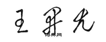 駱恆光王開尤草書個性簽名怎么寫