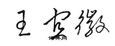 駱恆光王宜徽草書個性簽名怎么寫