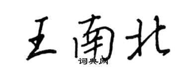 王正良王南北行書個性簽名怎么寫