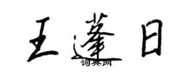 王正良王蓬日行書個性簽名怎么寫