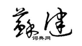 曾慶福蘇健草書個性簽名怎么寫