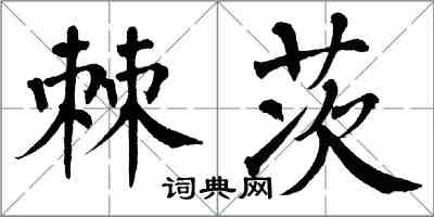 翁闓運棘茨楷書怎么寫