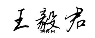 王正良王毅君行書個性簽名怎么寫