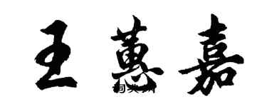 胡問遂王蕙嘉行書個性簽名怎么寫