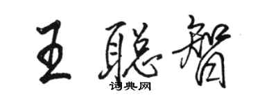 駱恆光王聰智行書個性簽名怎么寫