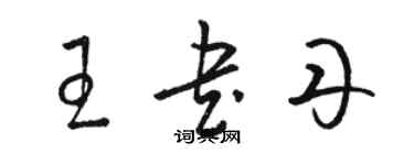 駱恆光王書丹草書個性簽名怎么寫