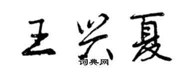 曾慶福王興夏行書個性簽名怎么寫