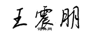 王正良王震朋行書個性簽名怎么寫