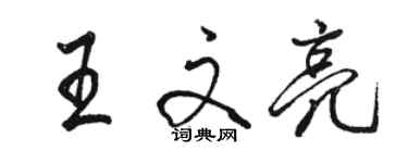 駱恆光王文亮行書個性簽名怎么寫