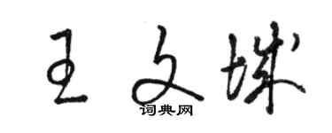 駱恆光王文城草書個性簽名怎么寫