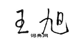 駱恆光王旭草書個性簽名怎么寫