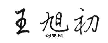 駱恆光王旭初行書個性簽名怎么寫