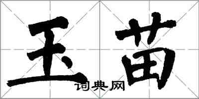 翁闓運玉苗楷書怎么寫