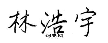 王正良林浩宇行書個性簽名怎么寫