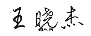 駱恆光王曉傑行書個性簽名怎么寫