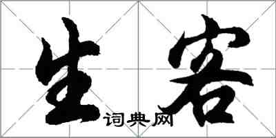 胡問遂生客行書怎么寫