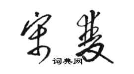 駱恆光宋雙草書個性簽名怎么寫