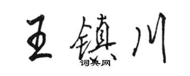 駱恆光王鎮川行書個性簽名怎么寫