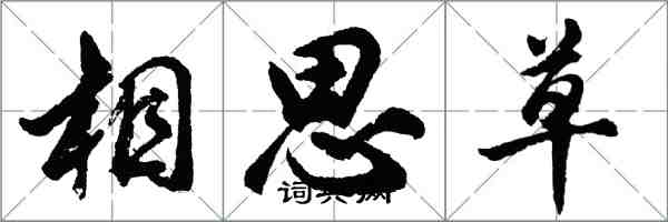 胡問遂相思草行書怎么寫