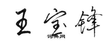 駱恆光王寶鋒行書個性簽名怎么寫