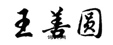 胡問遂王善圓行書個性簽名怎么寫