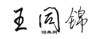 駱恆光王同錦行書個性簽名怎么寫