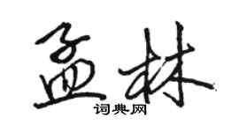 駱恆光孟林行書個性簽名怎么寫