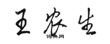 駱恆光王農生行書個性簽名怎么寫