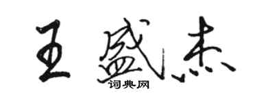 駱恆光王盛傑行書個性簽名怎么寫