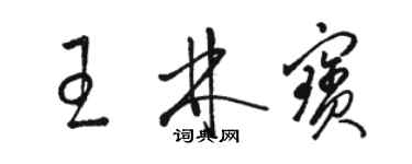 駱恆光王林寶草書個性簽名怎么寫