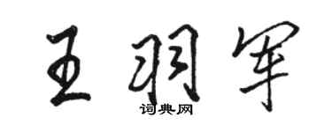 駱恆光王羽軍行書個性簽名怎么寫