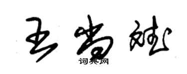 朱錫榮王尚斌草書個性簽名怎么寫