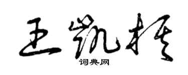 曾慶福王凱棋草書個性簽名怎么寫