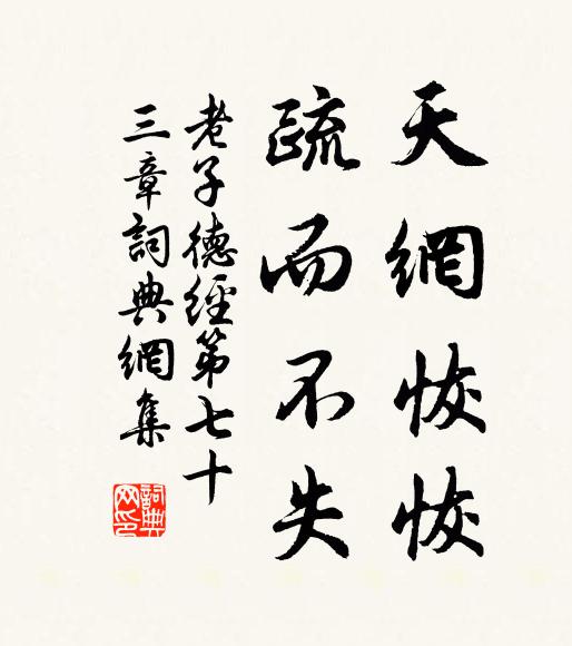 老子天網恢恢,疏而不失。書法作品欣賞