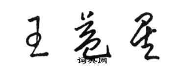 駱恆光王益星草書個性簽名怎么寫