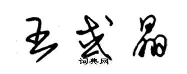 朱錫榮王或晶草書個性簽名怎么寫