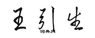 駱恆光王引生行書個性簽名怎么寫