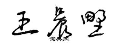 曾慶福王晨野草書個性簽名怎么寫